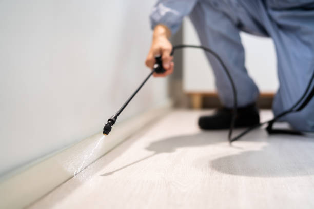Bed Bug Pre-Treatment Preparation Assessment in Ocean Pointe