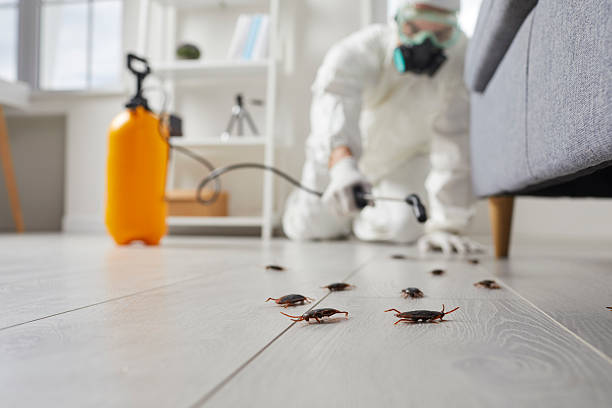 Post-Treatment Bed Bug Interceptor Monitoring in Ocean Pointe