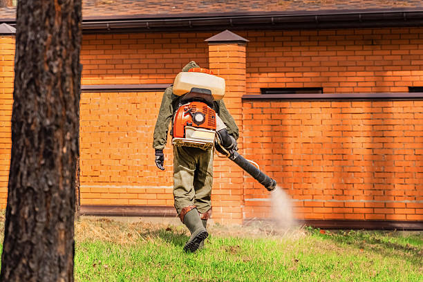 Bed Bug Clearance Verification and Documentation in Ocean Pointe